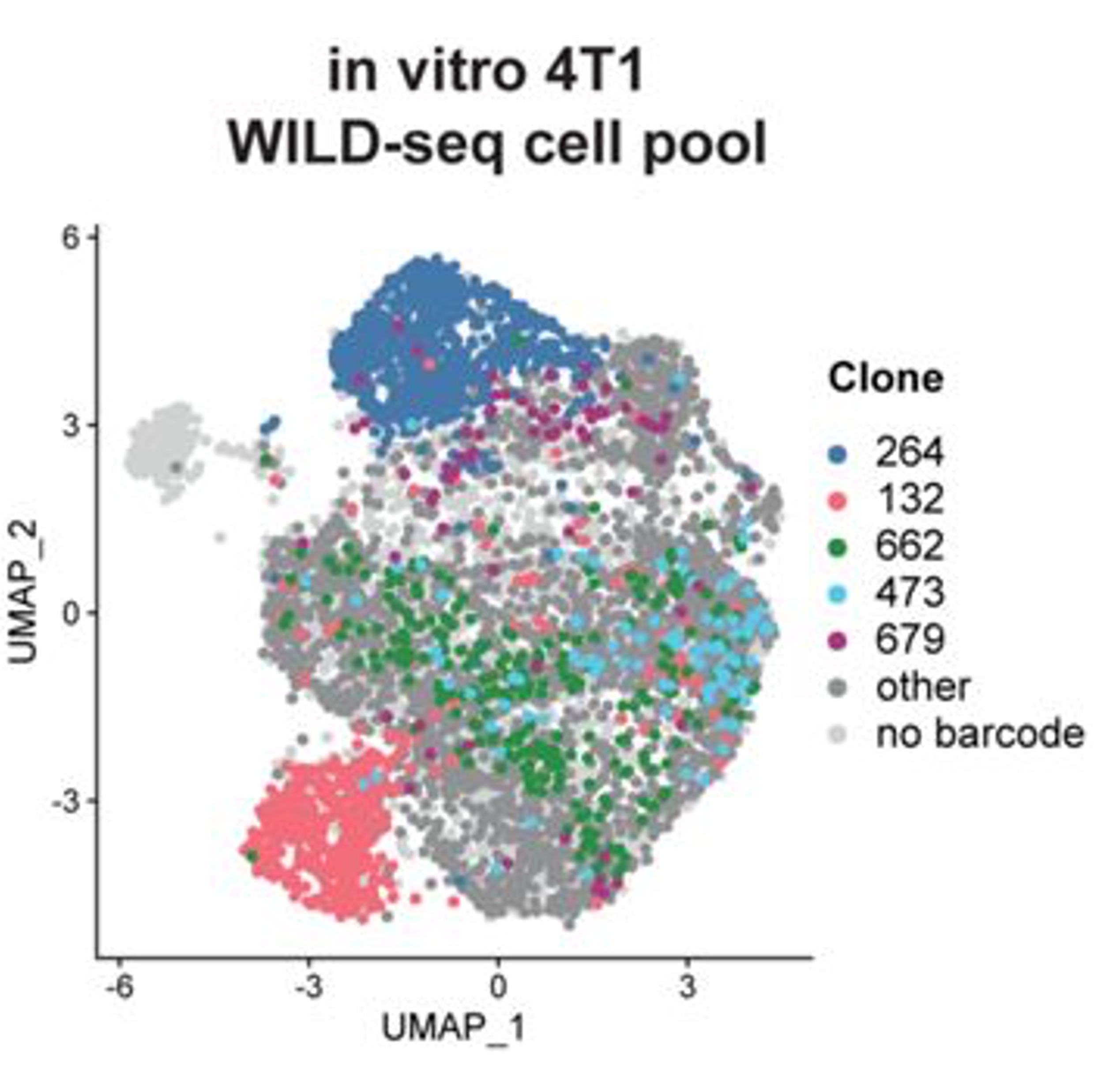 wild2022clonal.jpg